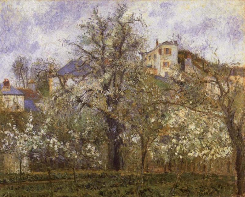 Vegetable Garden and Trees in Blossom, Camille Pissarro